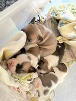 processed/7c121158-8f1c-4165-8282-17b3f423614d/facility/7a7e702a-15f1-4b51-96aa-77834699377d