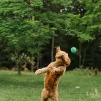 processed/7c1b7b41-937d-4cc7-88aa-47aaff49fc9d/facility/30a3942d-5108-411f-a3ec-82d273dc5d14