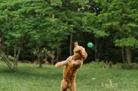 processed/7c1b7b41-937d-4cc7-88aa-47aaff49fc9d/facility/30a3942d-5108-411f-a3ec-82d273dc5d14