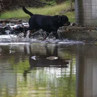 processed/7c1b7b41-937d-4cc7-88aa-47aaff49fc9d/facility/3b2a2bea-c30b-4354-965e-26a79c64e6c0