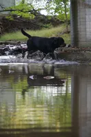 processed/7c1b7b41-937d-4cc7-88aa-47aaff49fc9d/facility/3b2a2bea-c30b-4354-965e-26a79c64e6c0