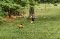 processed/7c1b7b41-937d-4cc7-88aa-47aaff49fc9d/facility/55c96218-e299-43c8-b3c2-6c7ccef05abd