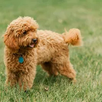 processed/7c1b7b41-937d-4cc7-88aa-47aaff49fc9d/facility/b84e2169-b547-4173-ae7e-dd06dd1bd4b2