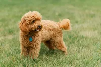 processed/7c1b7b41-937d-4cc7-88aa-47aaff49fc9d/facility/b84e2169-b547-4173-ae7e-dd06dd1bd4b2