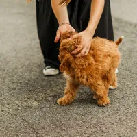 processed/7c1b7b41-937d-4cc7-88aa-47aaff49fc9d/facility/fa7e7d75-41a8-4002-a023-d8e24eb25538