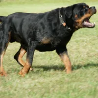 processed/7c1b7b41-937d-4cc7-88aa-47aaff49fc9d/facility/fd41abba-7cd9-4757-bd68-4d034e614da0