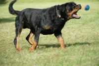 processed/7c1b7b41-937d-4cc7-88aa-47aaff49fc9d/facility/fd41abba-7cd9-4757-bd68-4d034e614da0