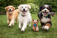 processed/7c1bc8fe-7778-499c-9875-3757a91e009b/facility/6b752b00-8dfd-4516-9771-60ea69c2219c