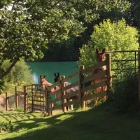 processed/7c1c9c8f-ab4c-4a8f-8fd3-1d993c14a570/facility/11a7c667-3078-44d0-baaa-c5c55ac6414c