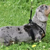 processed/7c1c9c8f-ab4c-4a8f-8fd3-1d993c14a570/facility/5561e0c2-c36f-4e26-b3df-b8770ef34c6e