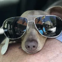 processed/7c1c9c8f-ab4c-4a8f-8fd3-1d993c14a570/facility/7bfd01c6-5637-4ae5-ba27-51fa1727dbe7