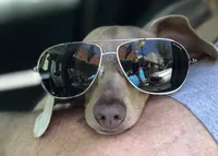 processed/7c1c9c8f-ab4c-4a8f-8fd3-1d993c14a570/facility/7bfd01c6-5637-4ae5-ba27-51fa1727dbe7