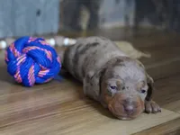 processed/7c25a1de-6f27-4413-b92f-7a2742b130bc/listing/7241cd54-40b9-4cb4-bc16-ab18410b2afa/82ecaaa2-479c-4d8b-a1ca-142200231cd8