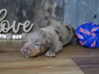 processed/7c25a1de-6f27-4413-b92f-7a2742b130bc/listing/7241cd54-40b9-4cb4-bc16-ab18410b2afa/bc0ef124-3dd9-4d4c-b2be-66d909d5fa56