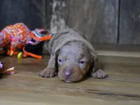 processed/7c25a1de-6f27-4413-b92f-7a2742b130bc/listing/7241cd54-40b9-4cb4-bc16-ab18410b2afa/cca9ad54-df23-4d25-bc71-06b1522478c3