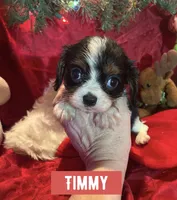 processed/7c32517e-937b-4236-91f3-3aaf12614b16/listing/372d4b62-55c2-438c-9540-57f2e0d38c44/09a5e368-89e7-4692-ba02-5e216300d78d