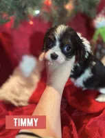 processed/7c32517e-937b-4236-91f3-3aaf12614b16/listing/372d4b62-55c2-438c-9540-57f2e0d38c44/79fcc5ed-6682-4fa8-a281-fa43407d7f4d