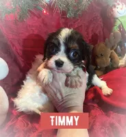 processed/7c32517e-937b-4236-91f3-3aaf12614b16/listing/372d4b62-55c2-438c-9540-57f2e0d38c44/abe321f6-fe59-4210-81a9-6f23e31e85bb