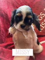 processed/7c32517e-937b-4236-91f3-3aaf12614b16/listing/8fa54d9f-b9d4-456a-8453-ac66d185f614/0b19e655-009a-4b0e-8983-7856b8cd55ea