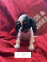 processed/7c32517e-937b-4236-91f3-3aaf12614b16/listing/8fa54d9f-b9d4-456a-8453-ac66d185f614/907c2a72-1800-4e02-bd16-ae94669a59d1