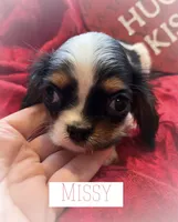 processed/7c32517e-937b-4236-91f3-3aaf12614b16/listing/8fa54d9f-b9d4-456a-8453-ac66d185f614/b96671fa-62f2-4fb9-ad39-e6e0af6c8742