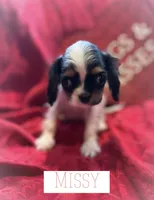 processed/7c32517e-937b-4236-91f3-3aaf12614b16/listing/8fa54d9f-b9d4-456a-8453-ac66d185f614/bdf1f2d0-9c3c-44e5-8c01-3131ddd8633c