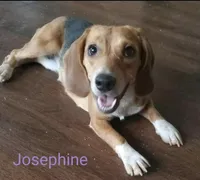 processed/7c34395a-7e97-4c00-99a2-b9170ac330a4/facility/0d30bec2-ce85-4b40-b061-c0f9a5aca238