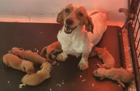 processed/7c34395a-7e97-4c00-99a2-b9170ac330a4/facility/26e57602-1a65-4ff9-a5d0-beb157220745