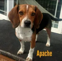 processed/7c34395a-7e97-4c00-99a2-b9170ac330a4/facility/2c6c4fd8-6e84-4317-bd5e-d67a92f91423