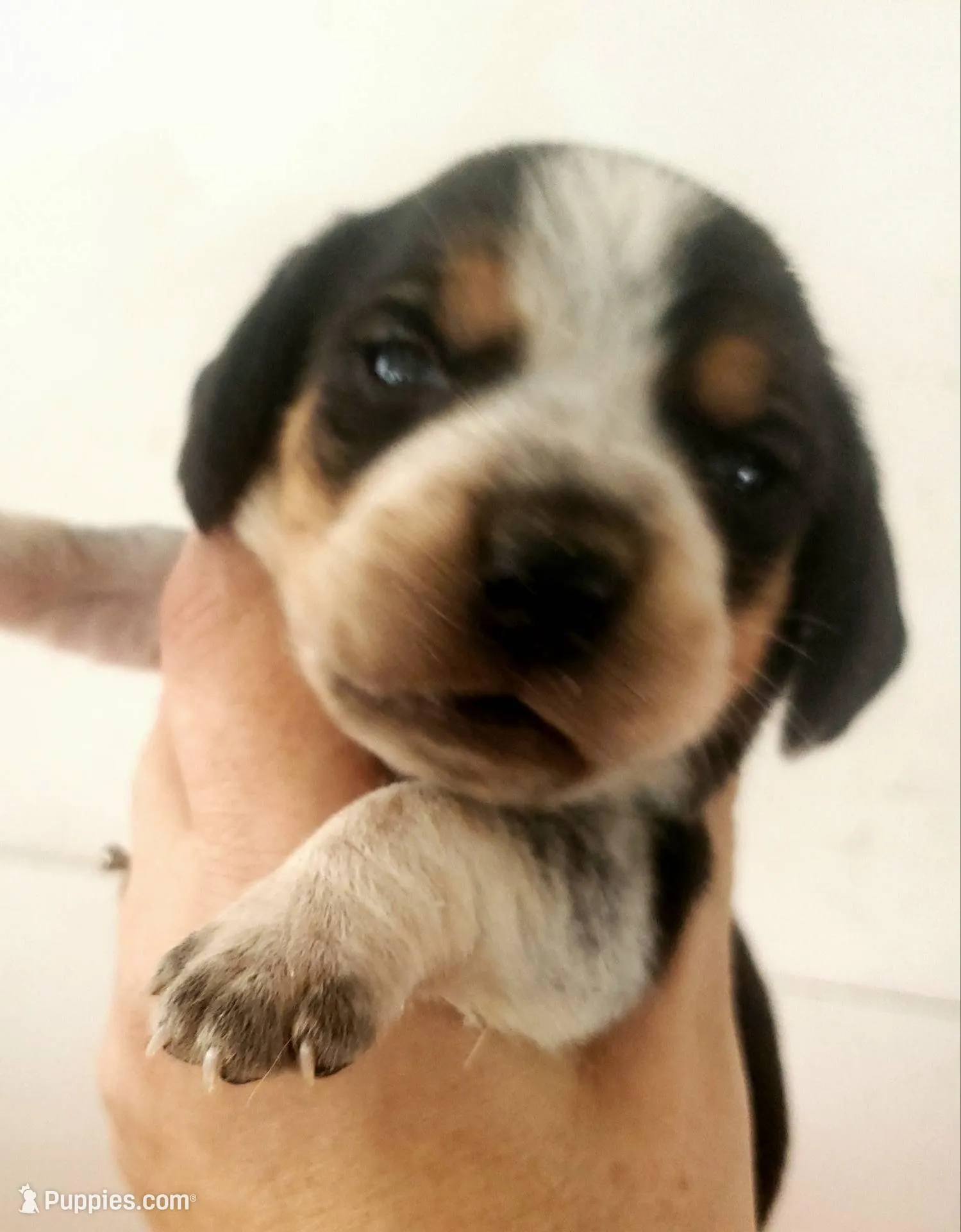 processed/7c34395a-7e97-4c00-99a2-b9170ac330a4/facility/836dfa1b-7ce2-4c51-9664-933b100647b6