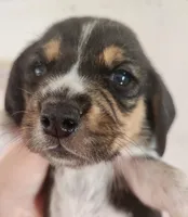 processed/7c34395a-7e97-4c00-99a2-b9170ac330a4/facility/8e037807-f04d-495c-bb02-dc211e45a703