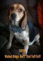 processed/7c34395a-7e97-4c00-99a2-b9170ac330a4/facility/ba91d371-c807-49ed-9682-710abcf92934