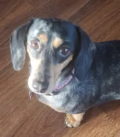 processed/7c34395a-7e97-4c00-99a2-b9170ac330a4/facility/f695c09d-4506-4106-b99b-8dac79ef2f00