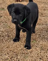 processed/7c352fee-464f-49bf-b4c9-5cce4c3d55d5/listing/8773c5d6-c36d-4762-93c3-26136c515465/0397b90c-be6f-40fe-a4fc-8ebef728547f