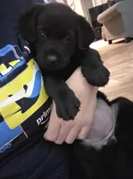 processed/7c352fee-464f-49bf-b4c9-5cce4c3d55d5/listing/8773c5d6-c36d-4762-93c3-26136c515465/1573b7aa-6ae7-4da5-af14-55209af7796b