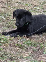 processed/7c352fee-464f-49bf-b4c9-5cce4c3d55d5/listing/8773c5d6-c36d-4762-93c3-26136c515465/2c2ed9bb-fb6a-4a11-b071-5827221c0ffd