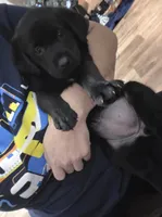 processed/7c352fee-464f-49bf-b4c9-5cce4c3d55d5/listing/8773c5d6-c36d-4762-93c3-26136c515465/56d08ebb-feb9-4ce7-b14e-0dcb3d2db3cc