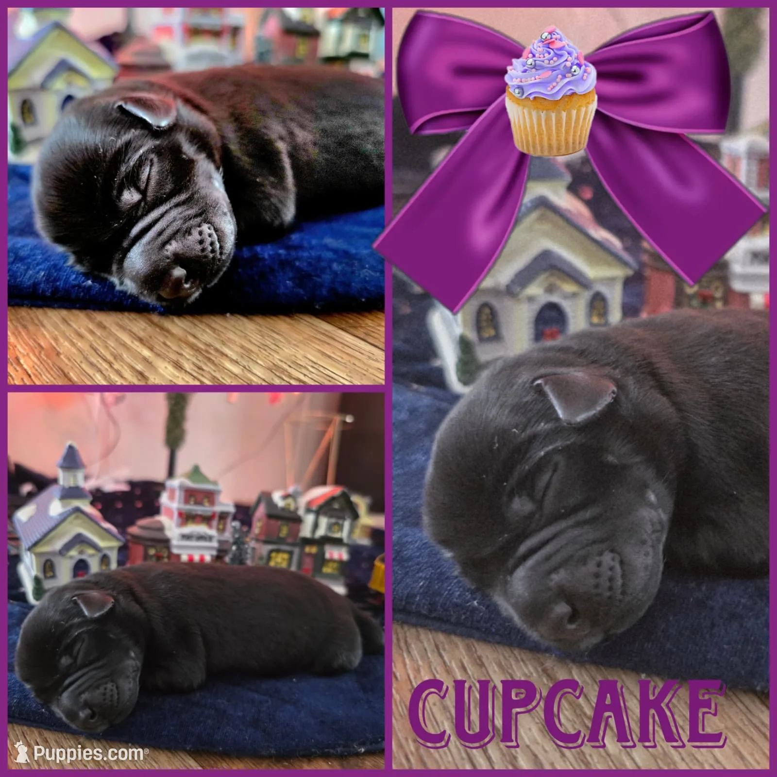 processed/7c352fee-464f-49bf-b4c9-5cce4c3d55d5/listing/8773c5d6-c36d-4762-93c3-26136c515465/73b9c6ab-2054-4355-950a-f9eb9db08d28