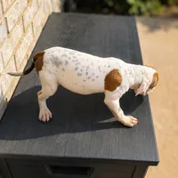 Barquavious , a male American Bully and American Pit Bull Terrier for sale in Stockbridge, GA – 2 of 5