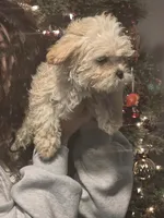 processed/7c45ea6c-995c-4889-a342-088e0fe24dcf/listing/08c98fc4-7aba-4953-8950-ec027cf42256/70f111d3-46b2-4393-ad49-10d9fa5f3d2f