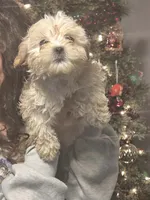 processed/7c45ea6c-995c-4889-a342-088e0fe24dcf/listing/08c98fc4-7aba-4953-8950-ec027cf42256/f1cf0a40-2efa-4703-a6ae-7000fc1dfcb9