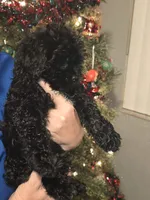 processed/7c45ea6c-995c-4889-a342-088e0fe24dcf/listing/48ab6c2b-1d08-4898-aee8-2056fd754117/4808cfa8-1ea8-4d31-a001-48e2a5ac9b7d