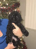 processed/7c45ea6c-995c-4889-a342-088e0fe24dcf/listing/48ab6c2b-1d08-4898-aee8-2056fd754117/e7053d18-fc97-4bd7-a2be-230d6081c063