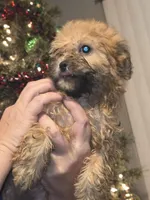 processed/7c45ea6c-995c-4889-a342-088e0fe24dcf/listing/a7aef6e6-ef04-4bb2-a208-38e16d61de31/790402cc-05a1-4b3d-9790-31cc85c46b1f