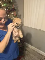 processed/7c45ea6c-995c-4889-a342-088e0fe24dcf/listing/a7aef6e6-ef04-4bb2-a208-38e16d61de31/c47d72c8-8340-459e-a5b5-83f9cd9499c9