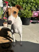 processed/7c46950a-da6f-46e6-84ee-1eb87236928e/listing/3a4427fc-130d-4e07-9f1c-ba6c2ead32ba/23f4f5b1-0f9f-42c5-82d5-4257c7603a8d