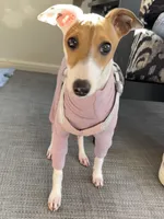 processed/7c46950a-da6f-46e6-84ee-1eb87236928e/listing/3a4427fc-130d-4e07-9f1c-ba6c2ead32ba/c5b66f58-1229-46e2-bbcb-b0fb1c94e27a