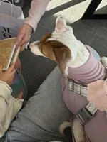 processed/7c46950a-da6f-46e6-84ee-1eb87236928e/listing/3a4427fc-130d-4e07-9f1c-ba6c2ead32ba/d1826b41-f2f9-4e3c-b643-020e966250dc