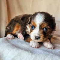 processed/7c4d4a6d-32a3-4423-9591-a142012fb736/listing/085e5e13-0660-409c-b56e-4c89f8526a49/4aa5674a-87ae-4e8b-8c4b-b7136fd7982a