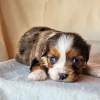 processed/7c4d4a6d-32a3-4423-9591-a142012fb736/listing/085e5e13-0660-409c-b56e-4c89f8526a49/62f04d1f-99f3-40e8-8cbc-08ab49b58f4c